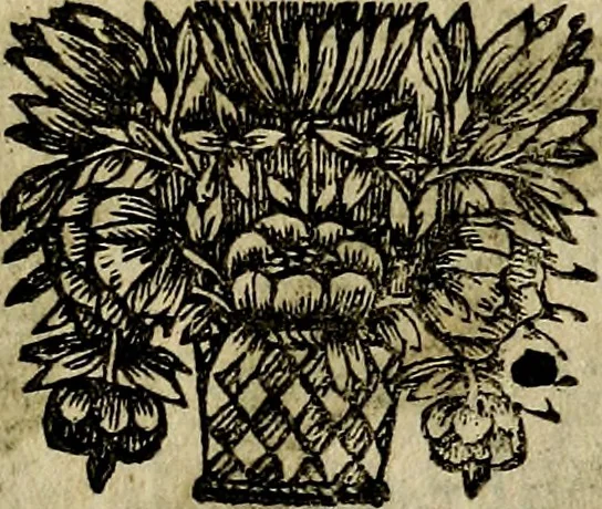 An illustration from Emblemes divers, representez dans cent quarante figures en taille-douce : Enrichis de discours moraux, philosophiques, politiques, et hystoriques ... Où il est traité de la science des roys, princes, ministres d'estats, et generaux d'armées, 1659, leaf 135