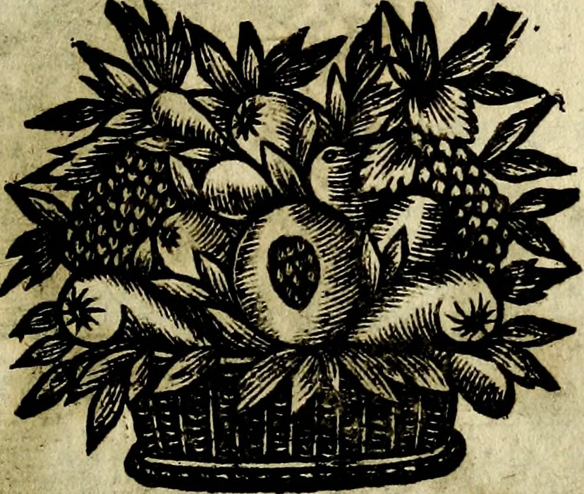 An illustration from Emblemes divers, representez dans cent quarante figures en taille-douce : Enrichis de discours moraux, philosophiques, politiques, et hystoriques ... Où il est traité de la science des roys, princes, ministres d'estats, et generaux d'armées, 1659, leaf 205