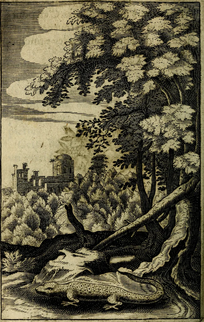 An illustration from Emblemes divers, representez dans cent quarante figures en taille-douce : Enrichis de discours moraux, philosophiques, politiques, et hystoriques ... Où il est traité de la science des roys, princes, ministres d'estats, et generaux d'armées, 1659, leaf 206