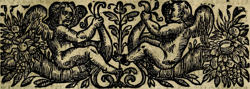 An illustration from Emblemes divers, representez dans cent quarante figures en taille-douce : Enrichis de discours moraux, philosophiques, politiques, et hystoriques ... Où il est traité de la science des roys, princes, ministres d'estats, et generaux d'armées, 1659, leaf 207