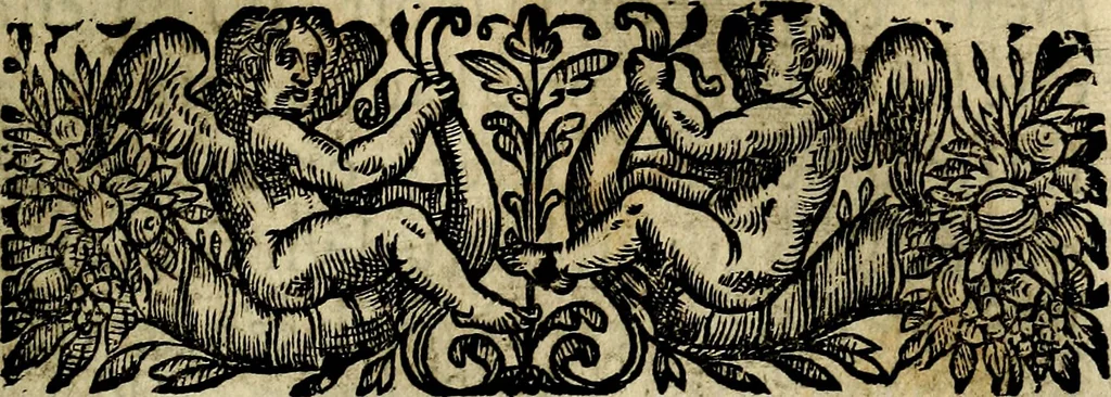 An illustration from Emblemes divers, representez dans cent quarante figures en taille-douce : Enrichis de discours moraux, philosophiques, politiques, et hystoriques ... Où il est traité de la science des roys, princes, ministres d'estats, et generaux d'armées, 1659, leaf 221
