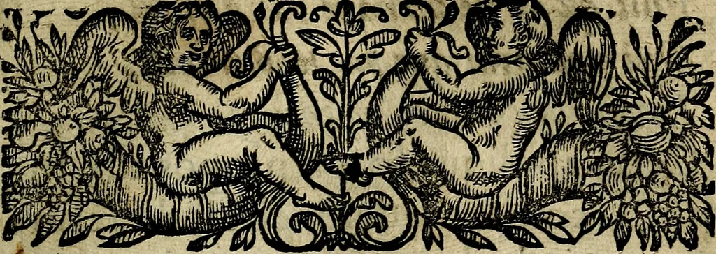 An illustration from Emblemes divers, representez dans cent quarante figures en taille-douce : Enrichis de discours moraux, philosophiques, politiques, et hystoriques ... Où il est traité de la science des roys, princes, ministres d'estats, et generaux d'armées, 1659, leaf 231