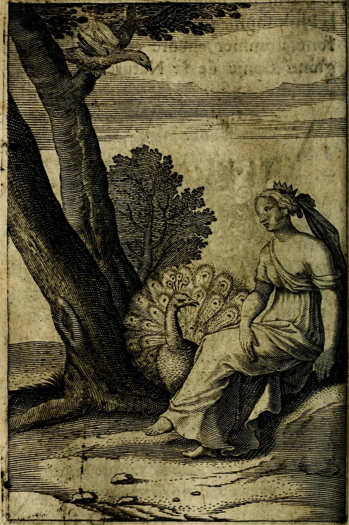 An illustration from Emblemes divers, representez dans cent quarante figures en taille-douce : Enrichis de discours moraux, philosophiques, politiques, et hystoriques ... Où il est traité de la science des roys, princes, ministres d'estats, et generaux d'armées, 1659, leaf 236