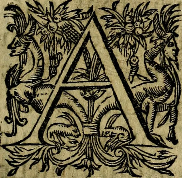 An illustration from Emblemes divers, representez dans cent quarante figures en taille-douce : Enrichis de discours moraux, philosophiques, politiques, et hystoriques ... Où il est traité de la science des roys, princes, ministres d'estats, et generaux d'armées, 1659, leaf 251