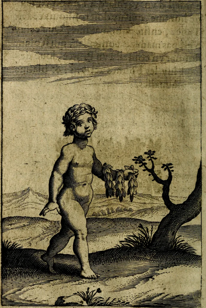 An illustration from Emblemes divers, representez dans cent quarante figures en taille-douce : Enrichis de discours moraux, philosophiques, politiques, et hystoriques ... Où il est traité de la science des roys, princes, ministres d'estats, et generaux d'armées, 1659, leaf 322