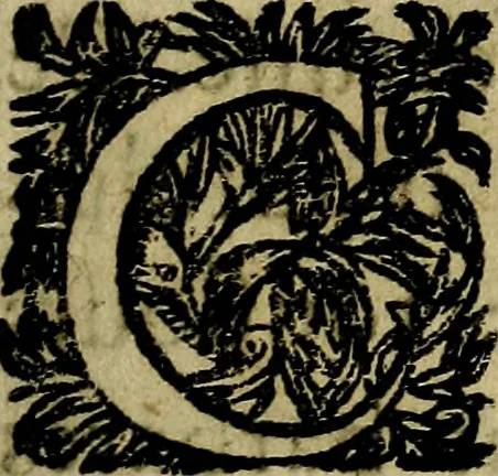 An illustration from Emblemes divers, representez dans cent quarante figures en taille-douce : Enrichis de discours moraux, philosophiques, politiques, et hystoriques ... Où il est traité de la science des roys, princes, ministres d'estats, et generaux d'armées, 1659, leaf 329