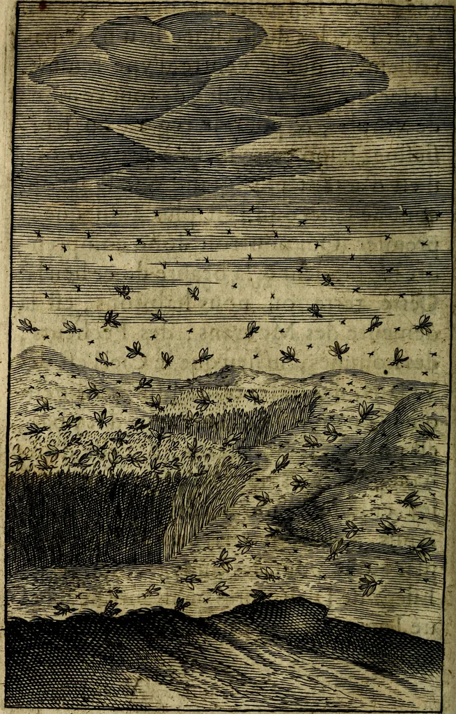 An illustration from Emblemes divers, representez dans cent quarante figures en taille-douce : Enrichis de discours moraux, philosophiques, politiques, et hystoriques ... Où il est traité de la science des roys, princes, ministres d'estats, et generaux d'armées, 1659, leaf 336