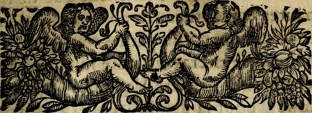 An illustration from Emblemes divers, representez dans cent quarante figures en taille-douce : Enrichis de discours moraux, philosophiques, politiques, et hystoriques ... Où il est traité de la science des roys, princes, ministres d'estats, et generaux d'armées, 1659, leaf 375