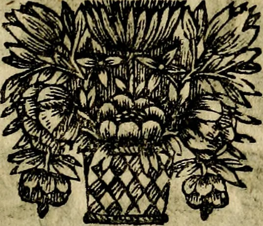 An illustration from Emblemes divers, representez dans cent quarante figures en taille-douce : Enrichis de discours moraux, philosophiques, politiques, et hystoriques ... Où il est traité de la science des roys, princes, ministres d'estats, et generaux d'armées, 1659, leaf 405