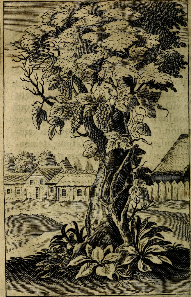 An illustration from Emblemes divers, representez dans cent quarante figures en taille-douce : Enrichis de discours moraux, philosophiques, politiques, et hystoriques ... Où il est traité de la science des roys, princes, ministres d'estats, et generaux d'armées, 1659, leaf 406