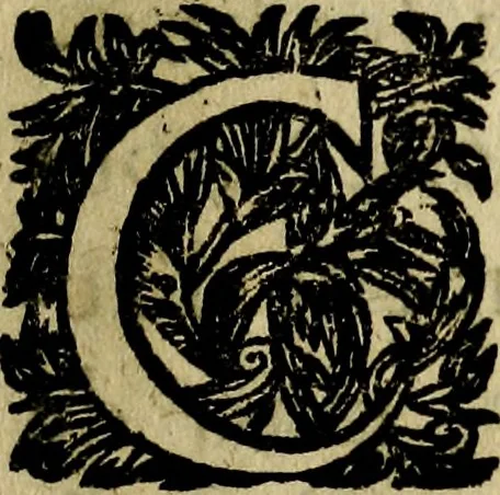 An illustration from Emblemes divers, representez dans cent quarante figures en taille-douce : Enrichis de discours moraux, philosophiques, politiques, et hystoriques ... Où il est traité de la science des roys, princes, ministres d'estats, et generaux d'armées, 1659, leaf 41