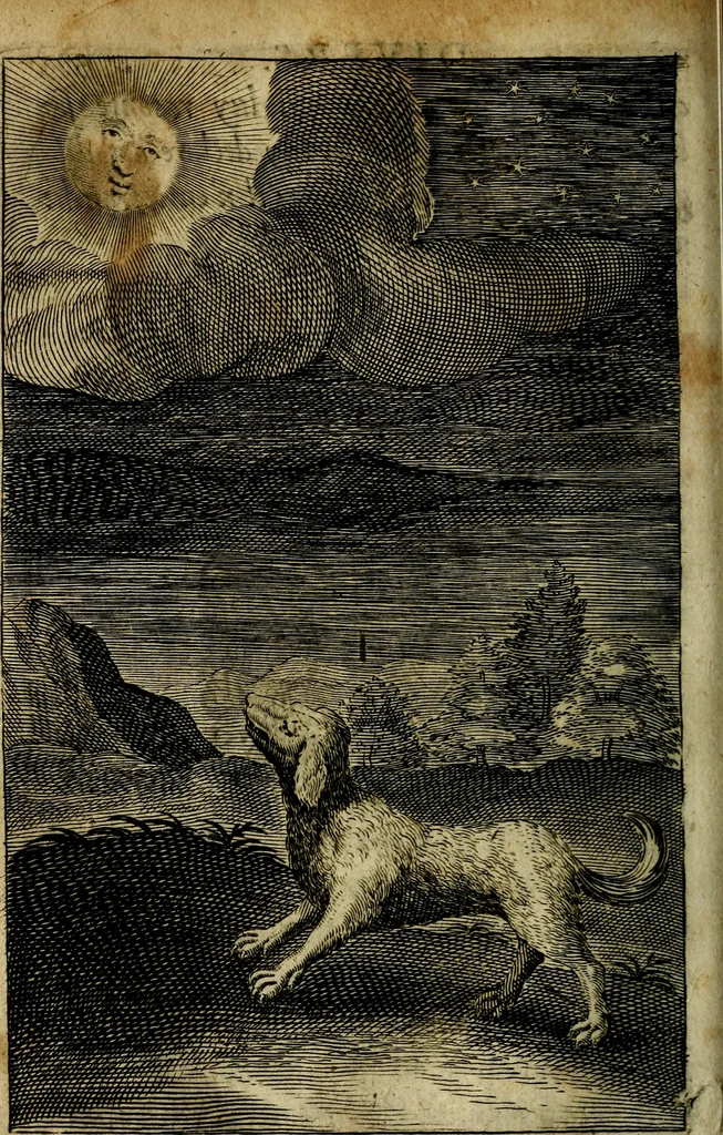 An illustration from Emblemes divers, representez dans cent quarante figures en taille-douce : Enrichis de discours moraux, philosophiques, politiques, et hystoriques ... Où il est traité de la science des roys, princes, ministres d'estats, et generaux d'armées, 1659, leaf 418