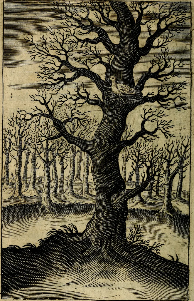 An illustration from Emblemes divers, representez dans cent quarante figures en taille-douce : Enrichis de discours moraux, philosophiques, politiques, et hystoriques ... Où il est traité de la science des roys, princes, ministres d'estats, et generaux d'armées, 1659, leaf 452