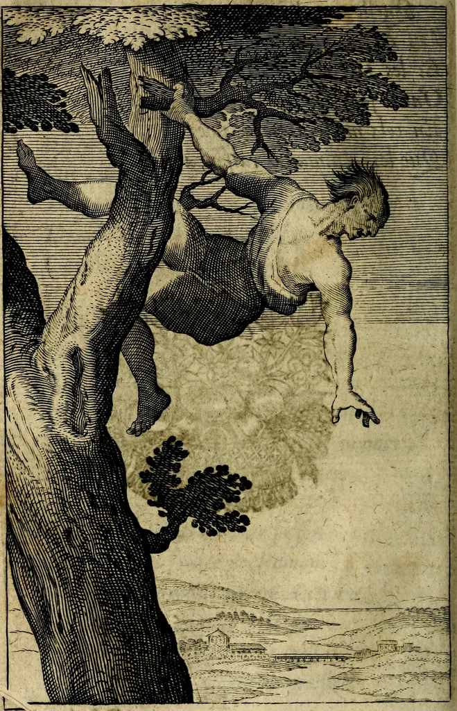 An illustration from Emblemes divers, representez dans cent quarante figures en taille-douce : Enrichis de discours moraux, philosophiques, politiques, et hystoriques ... Où il est traité de la science des roys, princes, ministres d'estats, et generaux d'armées, 1659, leaf 460