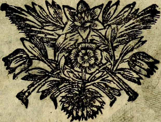 An illustration from Emblemes divers, representez dans cent quarante figures en taille-douce : Enrichis de discours moraux, philosophiques, politiques, et hystoriques ... Où il est traité de la science des roys, princes, ministres d'estats, et generaux d'armées, 1659, leaf 495