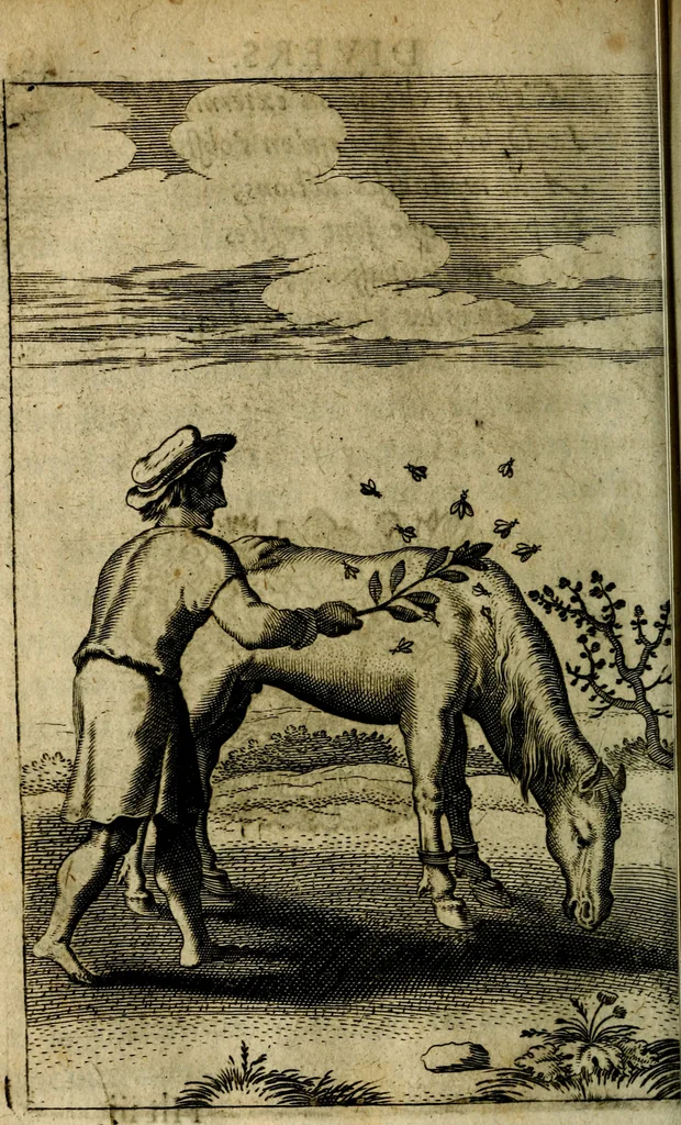 An illustration from Emblemes divers, representez dans cent quarante figures en taille-douce : Enrichis de discours moraux, philosophiques, politiques, et hystoriques ... Où il est traité de la science des roys, princes, ministres d'estats, et generaux d'armées, 1659, leaf 510
