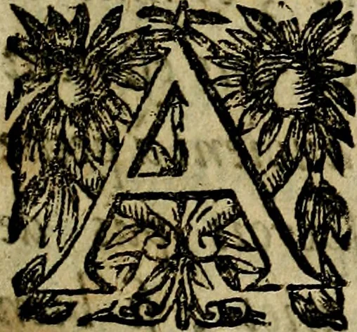 An illustration from Emblemes divers, representez dans cent quarante figures en taille-douce : Enrichis de discours moraux, philosophiques, politiques, et hystoriques ... Où il est traité de la science des roys, princes, ministres d'estats, et generaux d'armées, 1659, leaf 521