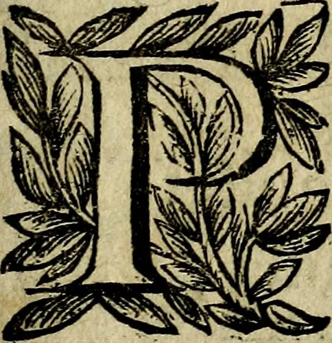 An illustration from Emblemes divers, representez dans cent quarante figures en taille-douce : Enrichis de discours moraux, philosophiques, politiques, et hystoriques ... Où il est traité de la science des roys, princes, ministres d'estats, et generaux d'armées, 1659, leaf 579