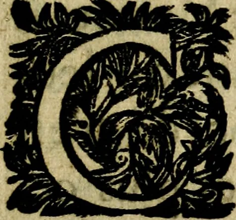 An illustration from Emblemes divers, representez dans cent quarante figures en taille-douce : Enrichis de discours moraux, philosophiques, politiques, et hystoriques ... Où il est traité de la science des roys, princes, ministres d'estats, et generaux d'armées, 1659, leaf 589