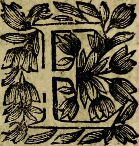 An illustration from Emblemes divers, representez dans cent quarante figures en taille-douce : Enrichis de discours moraux, philosophiques, politiques, et hystoriques ... Où il est traité de la science des roys, princes, ministres d'estats, et generaux d'armées, 1659, leaf 75