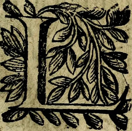 An illustration from Emblemes divers, representez dans cent quarante figures en taille-douce : Enrichis de discours moraux, philosophiques, politiques, et hystoriques ... Où il est traité de la science des roys, princes, ministres d'estats, et generaux d'armées, 1659, leaf 99