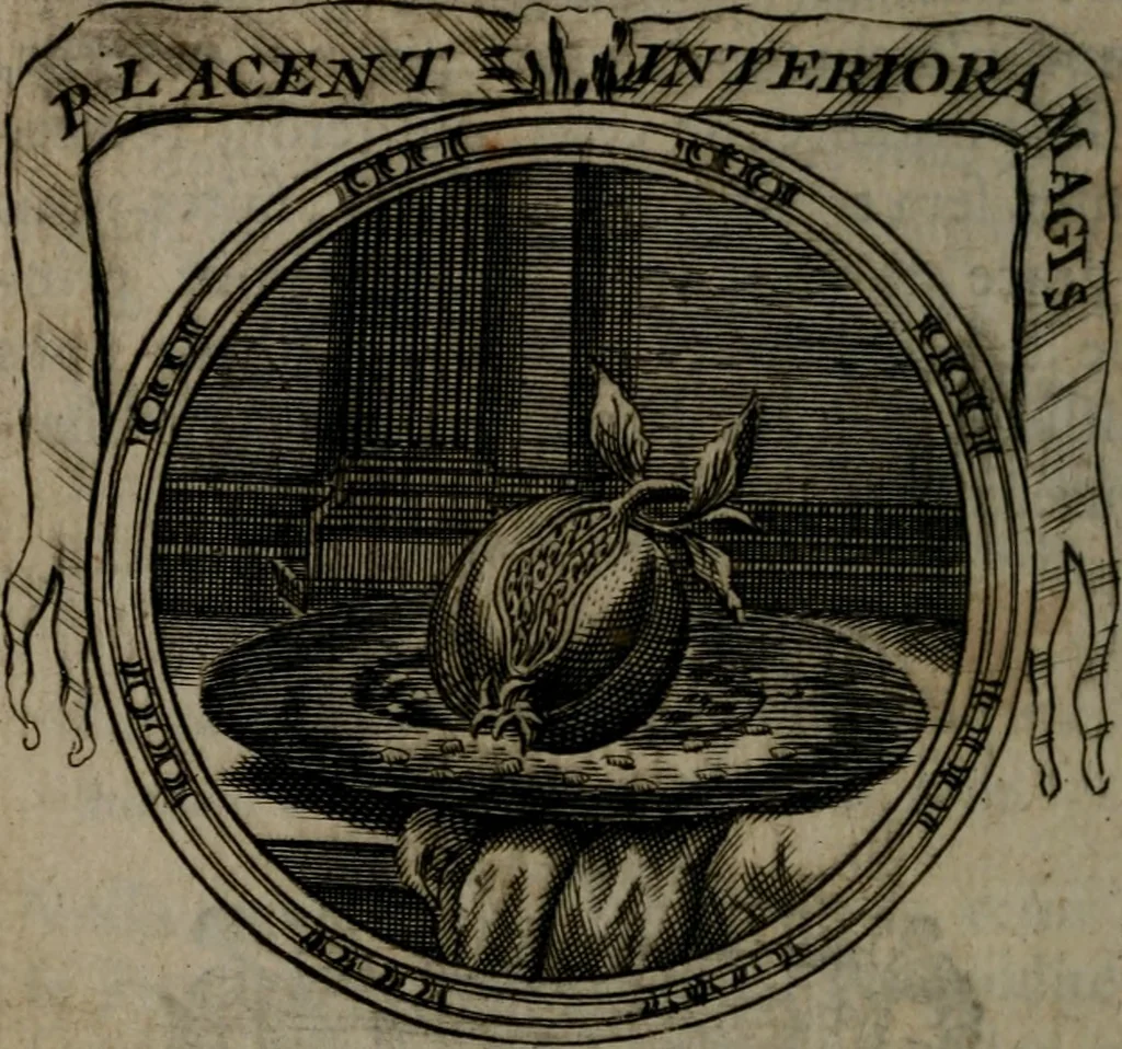 An illustration from Emblemes ou devises chretiennes : ouvrage mêlé de prose & de vers, et enrichi de figures .., 1717, leaf 307