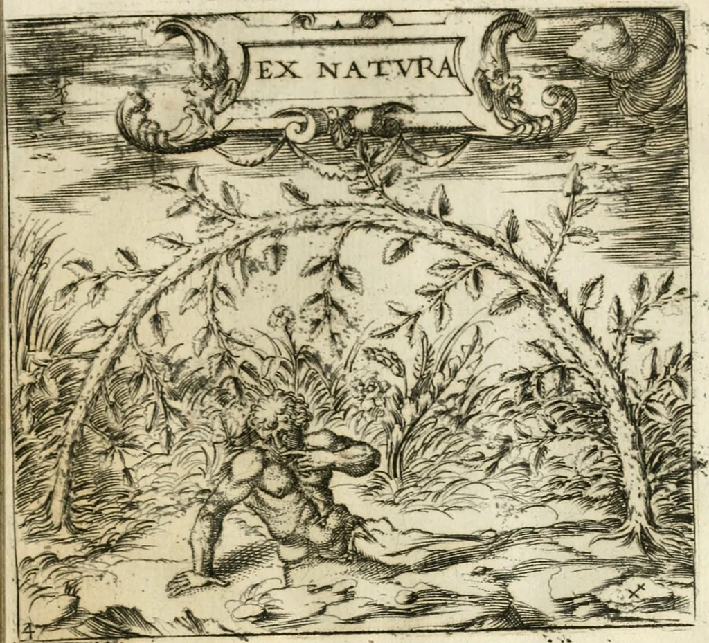 An illustration from Emblemes, ov, Devises chrestiennes, 1571, leaf 110