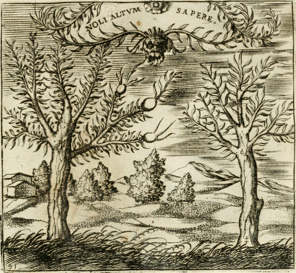 An illustration from Emblemes, ov, Devises chrestiennes, 1571, leaf 192