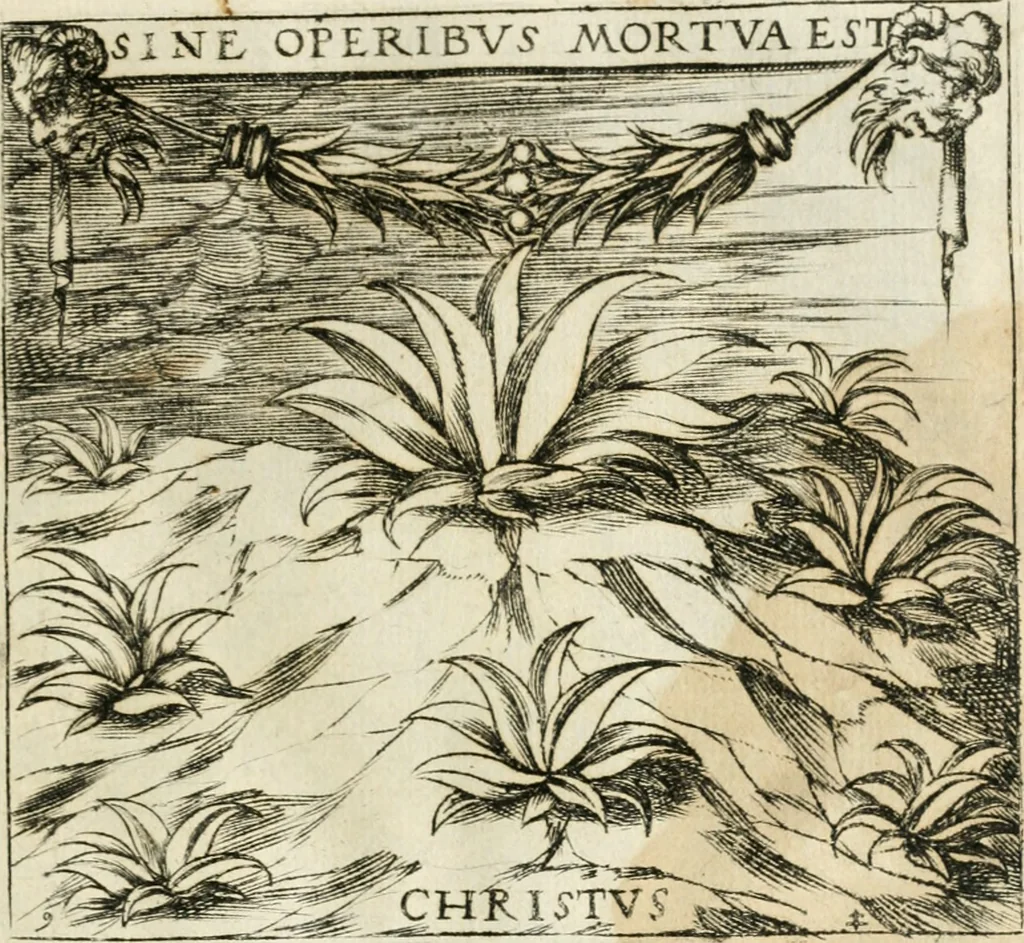 An illustration from Emblemes, ov, Devises chrestiennes, 1571, leaf 36