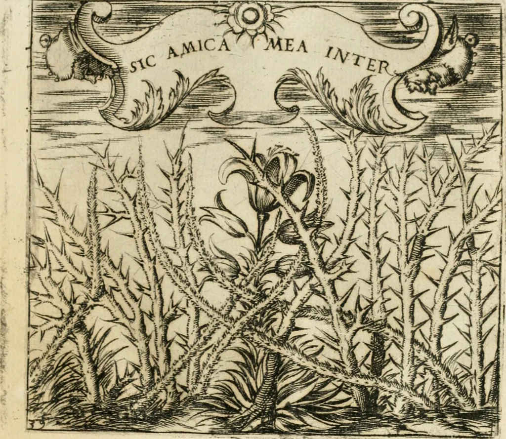 An illustration from Emblemes, ov, Devises chrestiennes, 1571, leaf 96