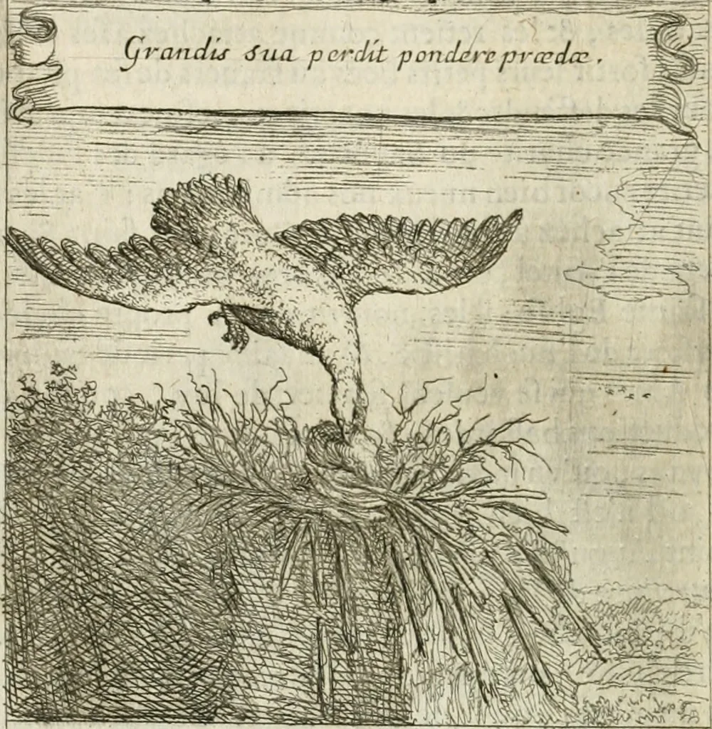 An illustration from Emblemes sacrez sur le tres-saint et tres-adorable sacrement de l'eucharistie, 1667, leaf 105