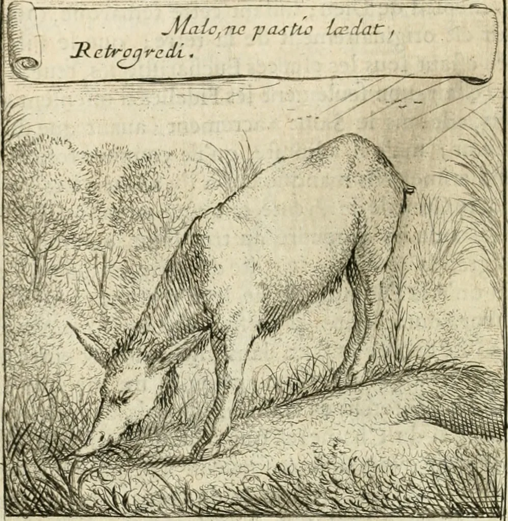 An illustration from Emblemes sacrez sur le tres-saint et tres-adorable sacrement de l'eucharistie, 1667, leaf 135