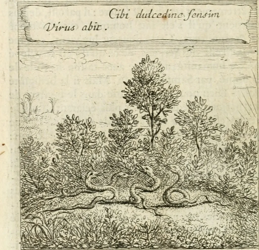 An illustration from Emblemes sacrez sur le tres-saint et tres-adorable sacrement de l'eucharistie, 1667, leaf 159