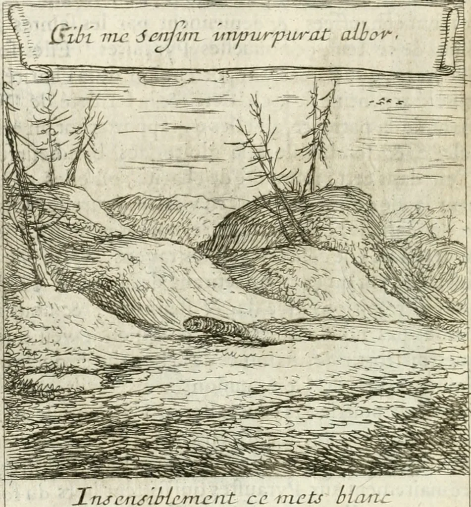 An illustration from Emblemes sacrez sur le tres-saint et tres-adorable sacrement de l'eucharistie, 1667, leaf 177