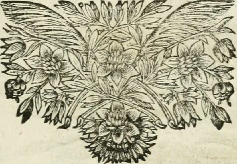An illustration from Emblemes sacrez sur le tres-saint et tres-adorable sacrement de l'eucharistie, 1667, leaf 20