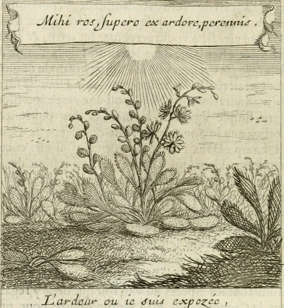 An illustration from Emblemes sacrez sur le tres-saint et tres-adorable sacrement de l'eucharistie, 1667, leaf 201