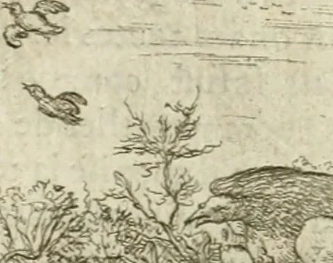 An illustration from Emblemes sacrez sur le tres-saint et tres-adorable sacrement de l'eucharistie, 1667, leaf 75