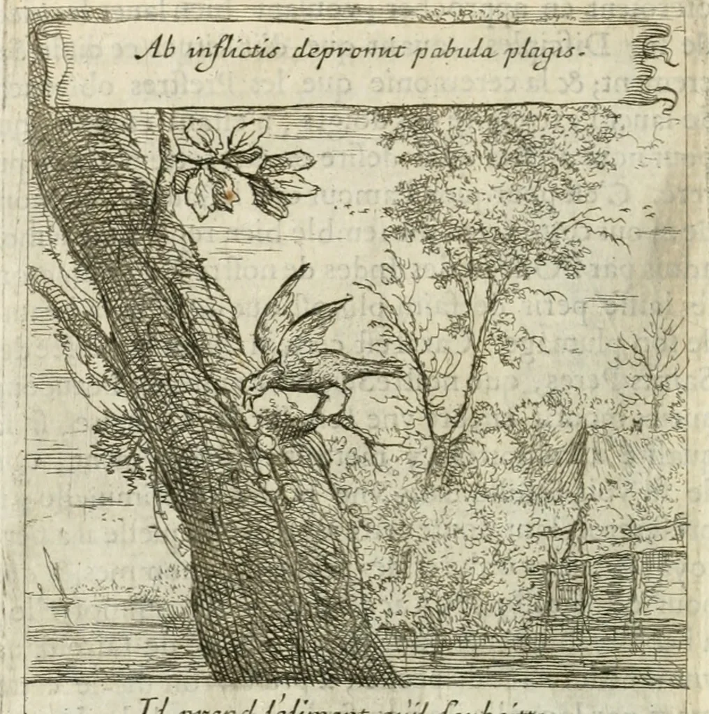 An illustration from Emblemes sacrez sur le tres-saint et tres-adorable sacrement de l'eucharistie, 1667, leaf 81