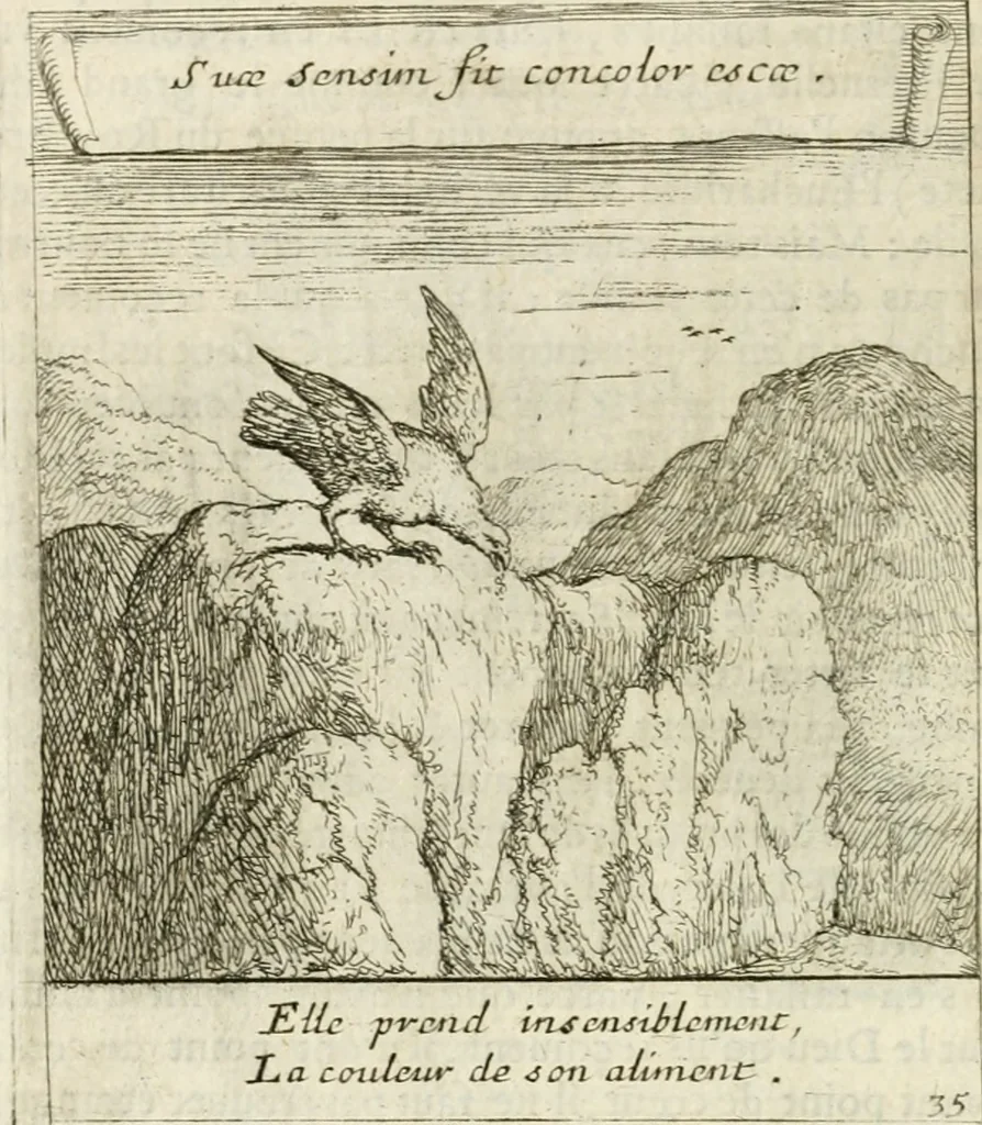 An illustration from Emblemes sacrez sur le tres-saint et tres-adorable sacrement de l'eucharistie, 1667, leaf 87
