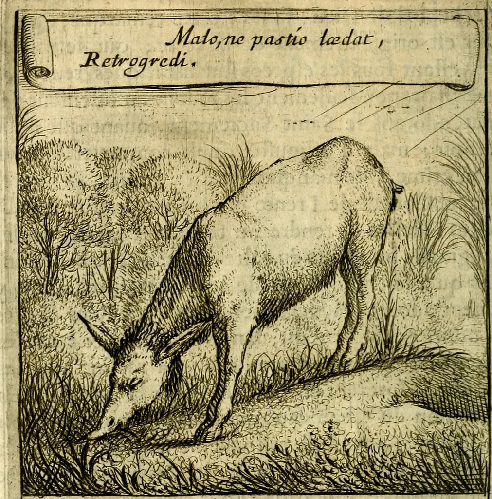 An illustration from Emblemes sacrez svr le tres-saint et tresadorable sacrement de l'evcharistie, 1667, leaf 137
