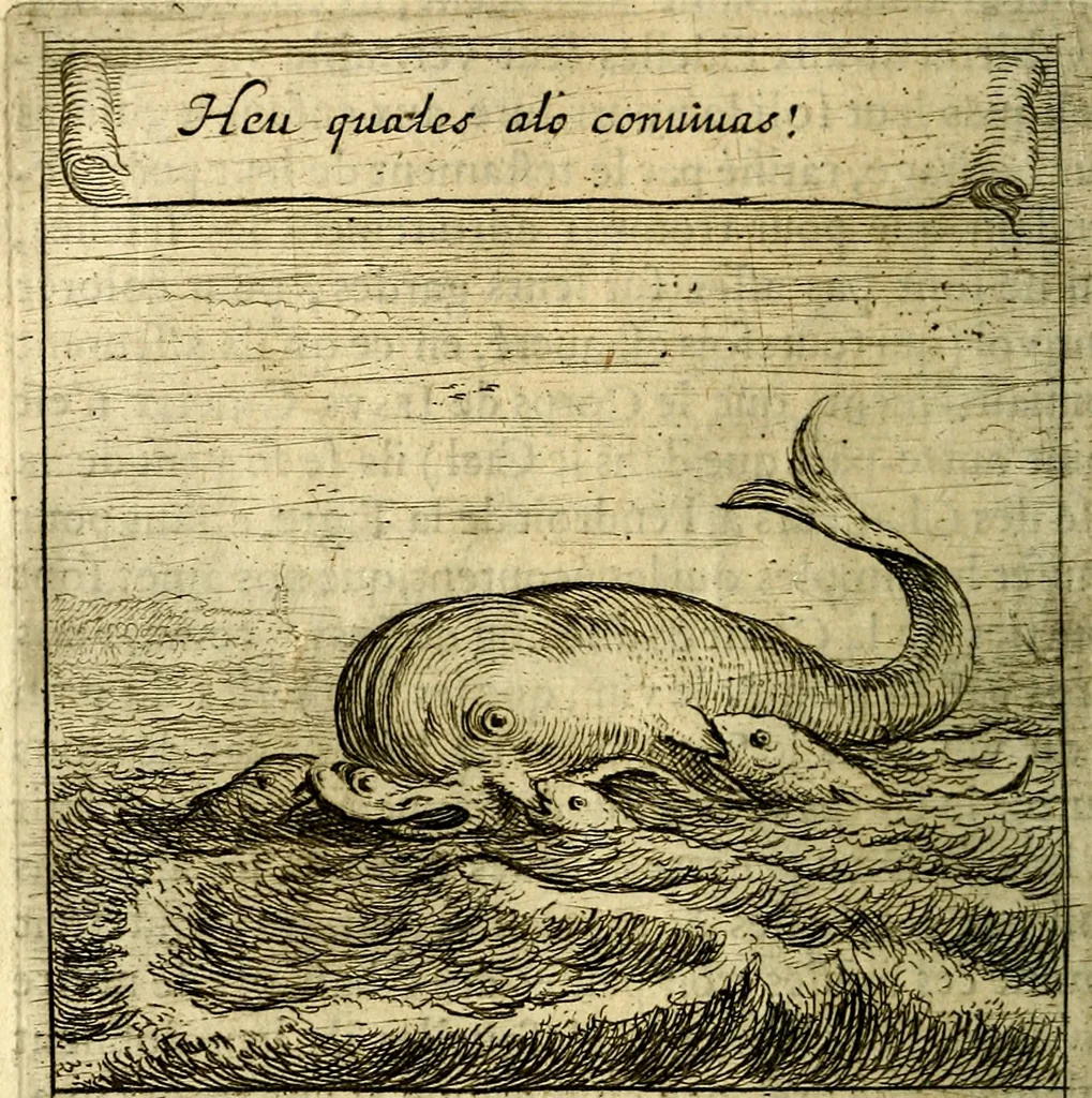 An illustration from Emblemes sacrez svr le tres-saint et tresadorable sacrement de l'evcharistie, 1667, leaf 141