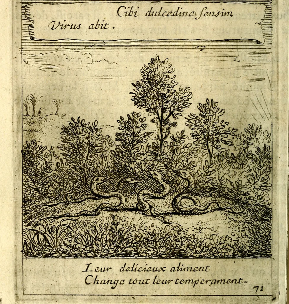 An illustration from Emblemes sacrez svr le tres-saint et tresadorable sacrement de l'evcharistie, 1667, leaf 161