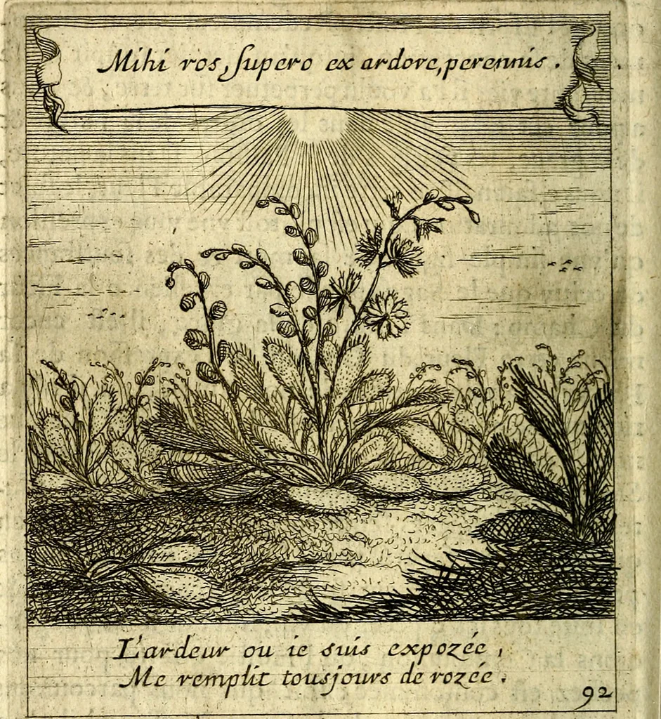 An illustration from Emblemes sacrez svr le tres-saint et tresadorable sacrement de l'evcharistie, 1667, leaf 203