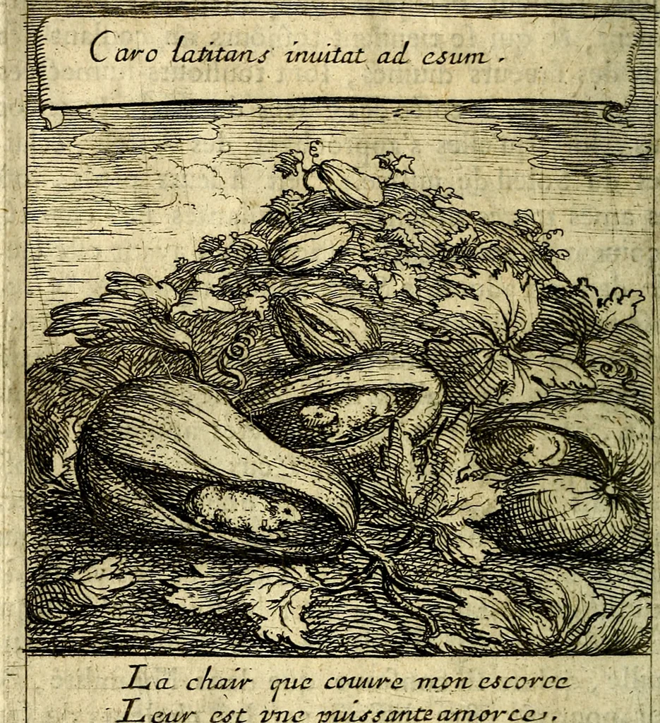 An illustration from Emblemes sacrez svr le tres-saint et tresadorable sacrement de l'evcharistie, 1667, leaf 205