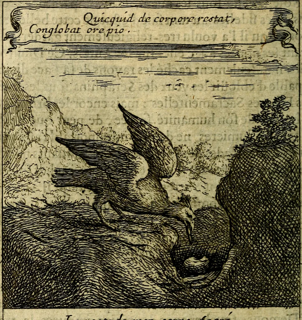 An illustration from Emblemes sacrez svr le tres-saint et tresadorable sacrement de l'evcharistie, 1667, leaf 61