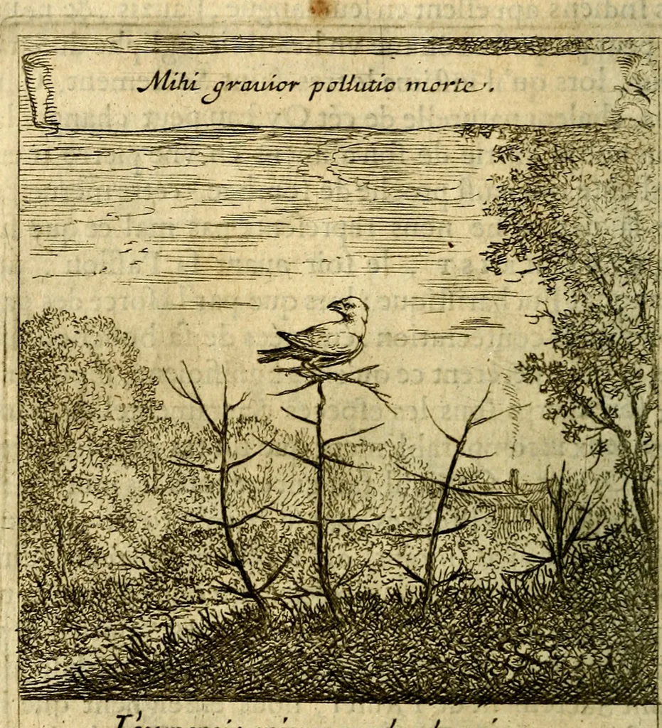 An illustration from Emblemes sacrez svr le tres-saint et tresadorable sacrement de l'evcharistie, 1667, leaf 81