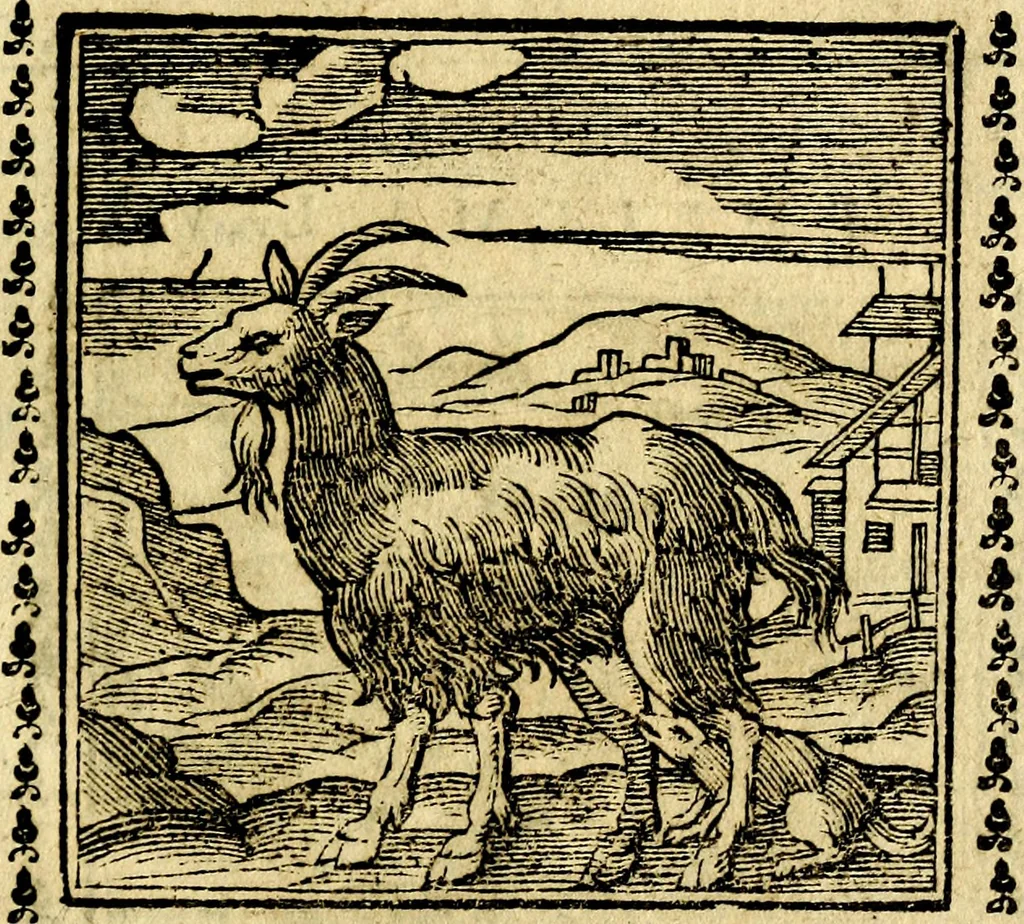 An illustration from Emblemi. Dal latino nel vulgare italiano ridotti, contenenti il fiore et la sostanza de' più scelti scrittori & delle più celebri discipline dell'vniuerso, ripieni di ottimi consigli & saluteuoli documenti, per l'vso ciuile et morale della vita humana, 1626, leaf 102