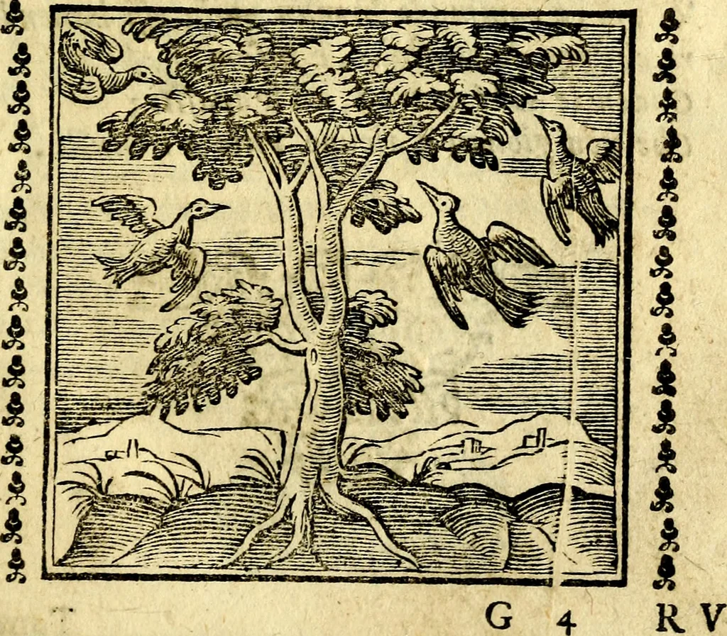 An illustration from Emblemi. Dal latino nel vulgare italiano ridotti, contenenti il fiore et la sostanza de' più scelti scrittori & delle più celebri discipline dell'vniuerso, ripieni di ottimi consigli & saluteuoli documenti, per l'vso ciuile et morale della vita humana, 1626, leaf 114