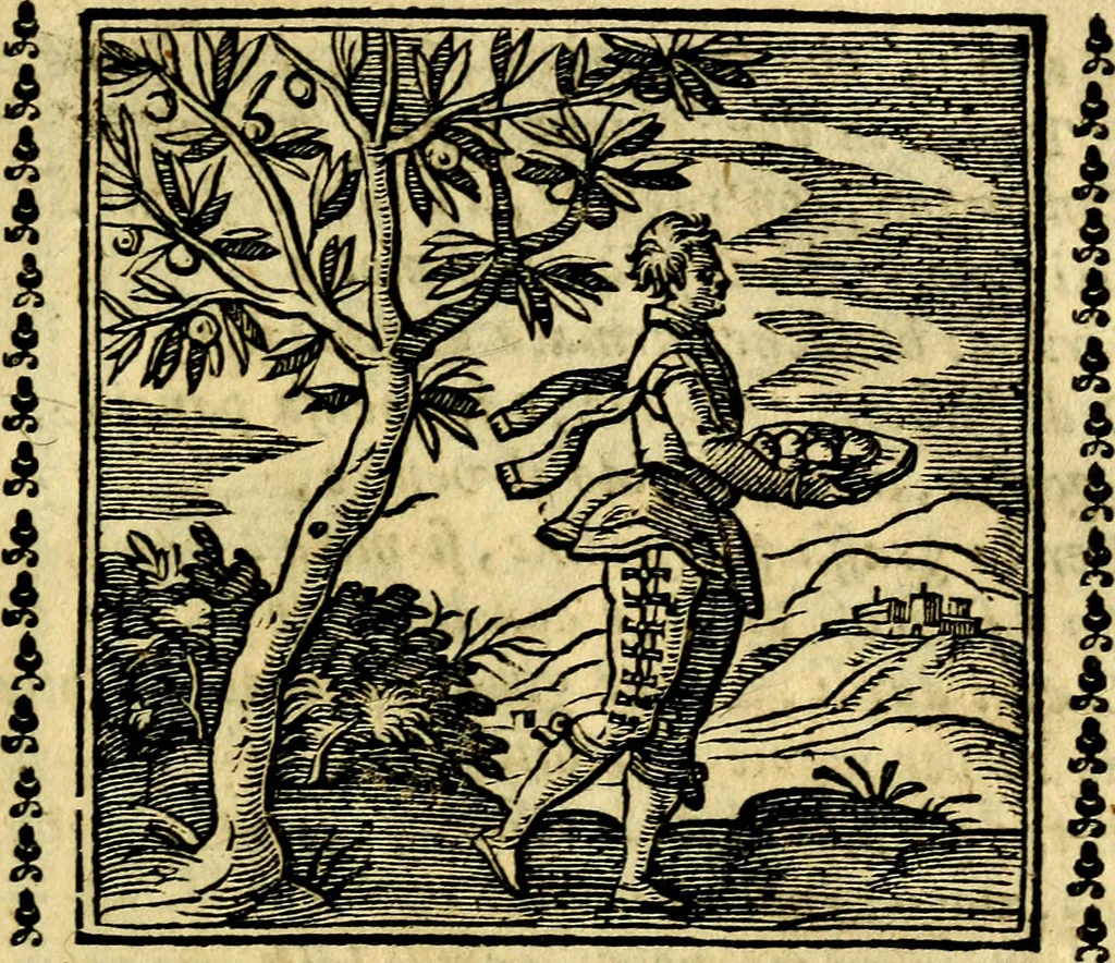 An illustration from Emblemi. Dal latino nel vulgare italiano ridotti, contenenti il fiore et la sostanza de' più scelti scrittori & delle più celebri discipline dell'vniuerso, ripieni di ottimi consigli & saluteuoli documenti, per l'vso ciuile et morale della vita humana, 1626, leaf 142