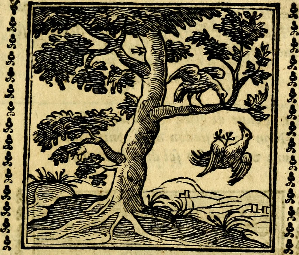 An illustration from Emblemi. Dal latino nel vulgare italiano ridotti, contenenti il fiore et la sostanza de' più scelti scrittori & delle più celebri discipline dell'vniuerso, ripieni di ottimi consigli & saluteuoli documenti, per l'vso ciuile et morale della vita humana, 1626, leaf 144